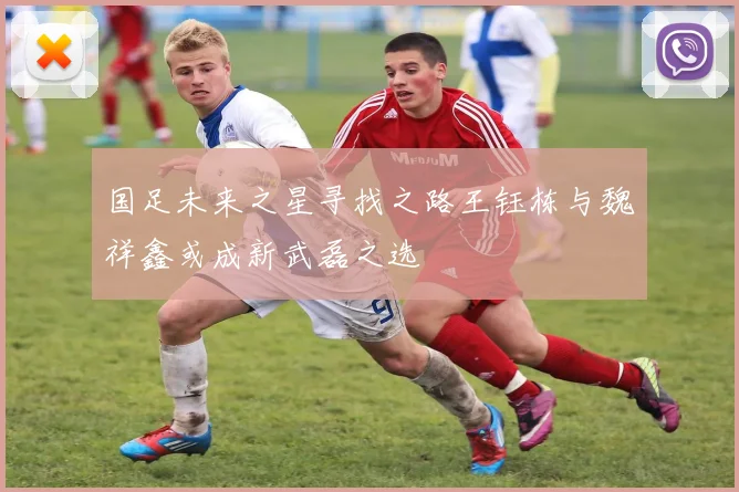 国足未来之星寻找之路王钰栋与魏祥鑫或成新武磊之选